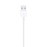 Original Cable Apple Lightning to USB Cable (1m) MXLY2ZM/A Color:white.. - official importer