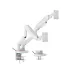 Monitor arm Lumi 17'-49' LDT85-C024L