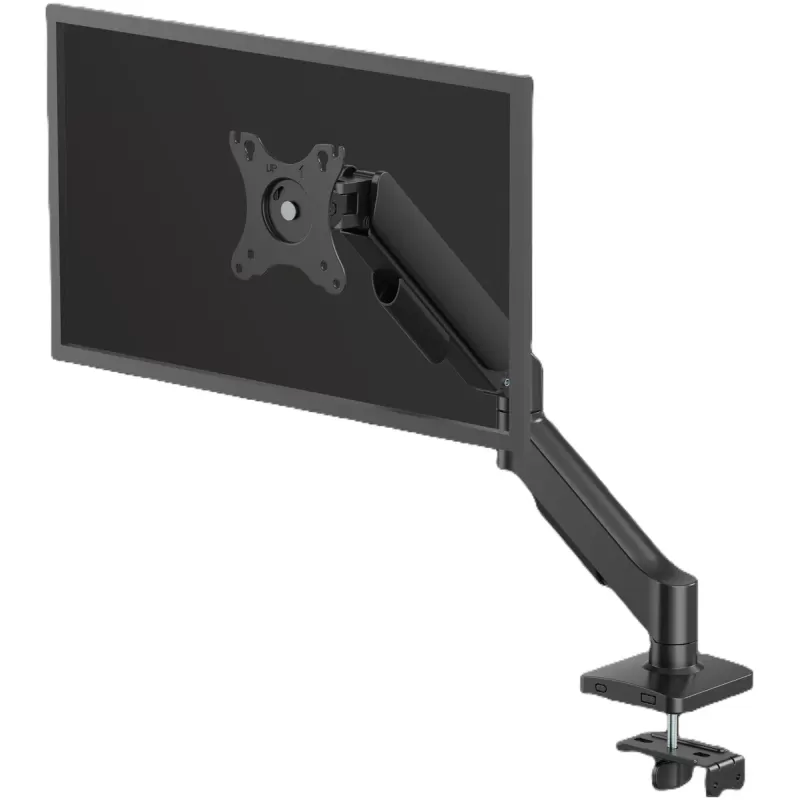 Monitor arm Fellowes Everyday Plus black 100142599