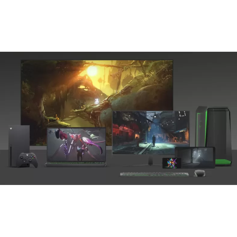 Цифровая подписка Microsoft Game Pass Essential 12 Game Pass Essential Xbox 04
