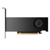 כרטיס מסך Nvidia NVIDIA RTX 2000 Ada 16GB 900-5G192-2240-000 צבע שחור