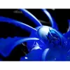 Вентилятор для Корпуса COUGAR CFD 120 blue 120mm