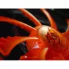 Вентилятор для Корпуса COUGAR CFD 120 red 120mm