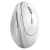 Мышь Genius Ergo 8350S серый, белый Мышь Genius Ergo 8350S серый, белый