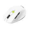 Wireless Mouse Asus MD105 Wireless Mouse white, green, black