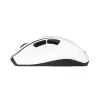 Wireless Mouse Asus MD105 Wireless Mouse white, green, black