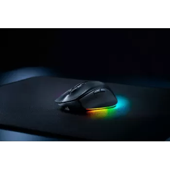 עכבר אלחוטי RAZER PRO CLICK V2