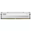 זיכרון לנייח DRAM Klevv DDR5 32GB (2x16GB) 6000 CL30 FIT V White KD5AGU880-60A300F KIT 32GB (2x16GB) DDR5 6000MHz CL30 צבע לבן