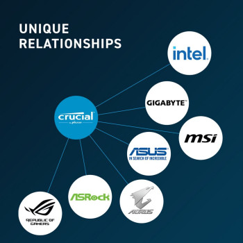 Desktop Memory DRAM Crucial CT16G48C40U5 16GB DDR5 4800MHz 40-39-39 1.1V Desktop Memory DRAM Crucial CT16G48C40U5 16GB DDR5 4800MHz 40-39-39 1.1V