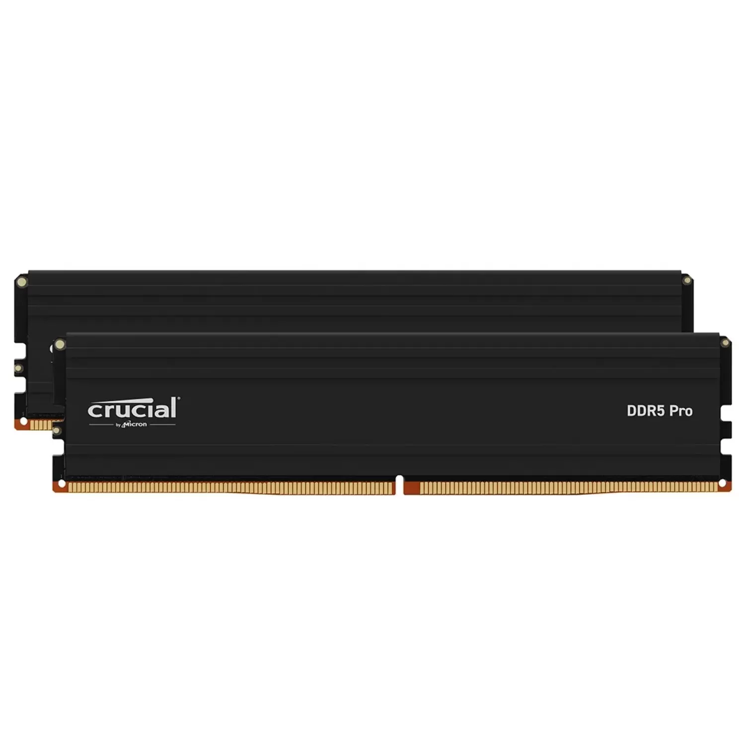 Память Crucial Pro DDR5 UDIMM 32GB 5600MHz CP32G56C46U5 32GB DDR5 DIMM 5600MHz