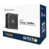 Блок Питания SilverStone Triton 750Rx SST-TR750R-GF 80 Plus Gold 750W