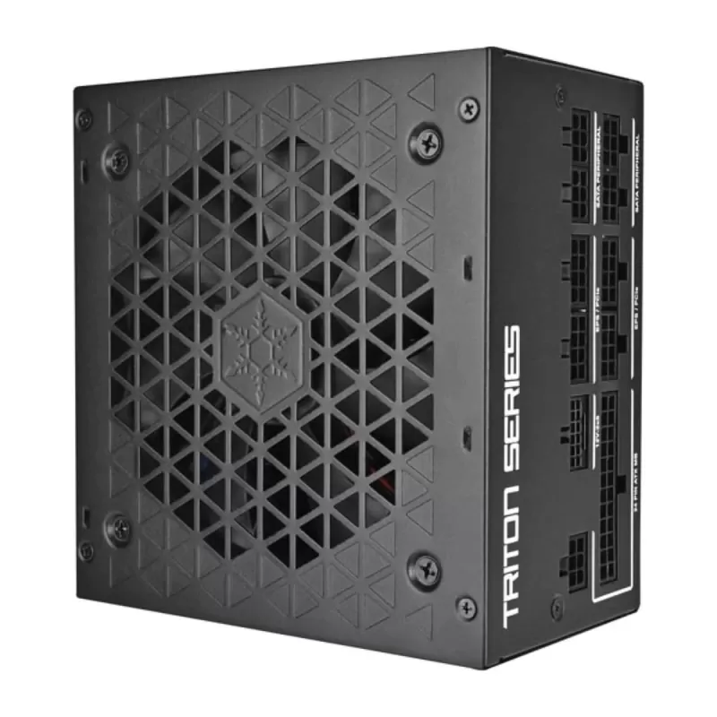 Power Supply SilverStone Triton 1000Rz SST-TR1000R-GM Full Modular 80+ Gold 1000W ATX 3.1