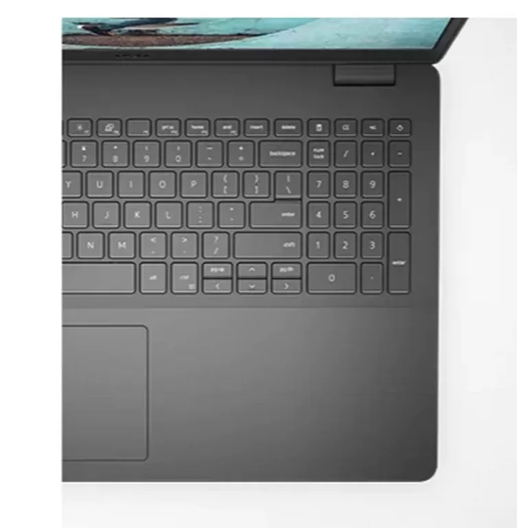 Ноутбук Dell Inspiron 3501 IN-RD33-12336 Intel Core i3-1005G1 15.6" FHD Anti-Glare 8GB SSD:256GB Windows 10 Цвет:чёрный