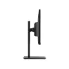 Computer Monitor MSI PRO MP251P 24.5" 100Hz FHD IPS Color:black