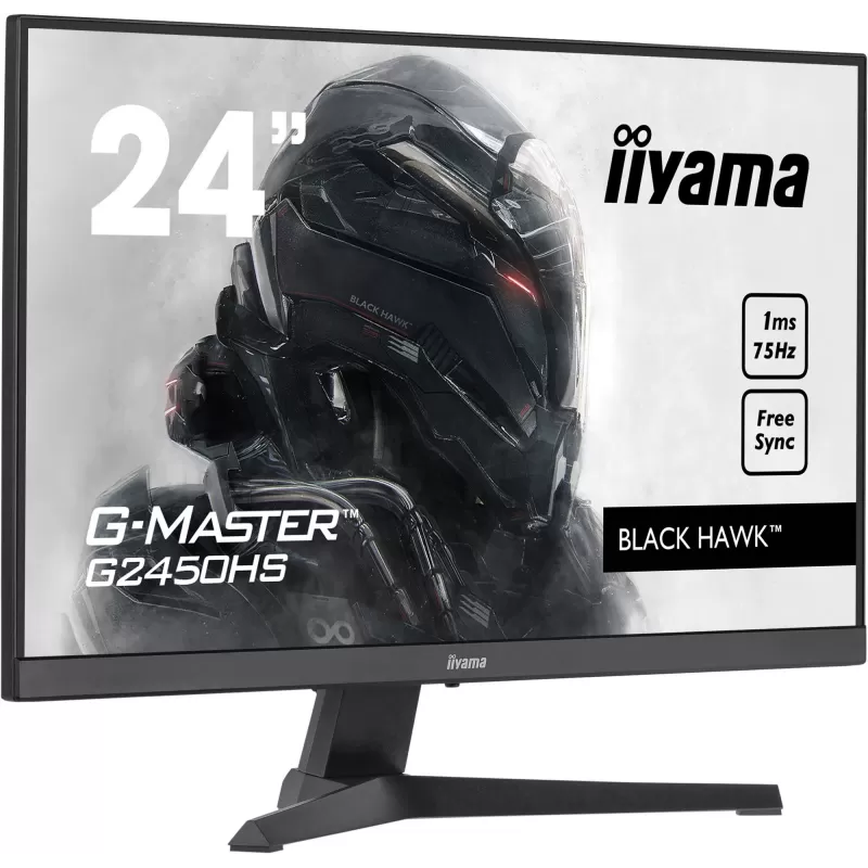 Монитор для ПК IIYAMA G-MASTER G2450HS-B1 G2450HS-B1 23.8" 75Hz FHD VA Цвет:чёрный