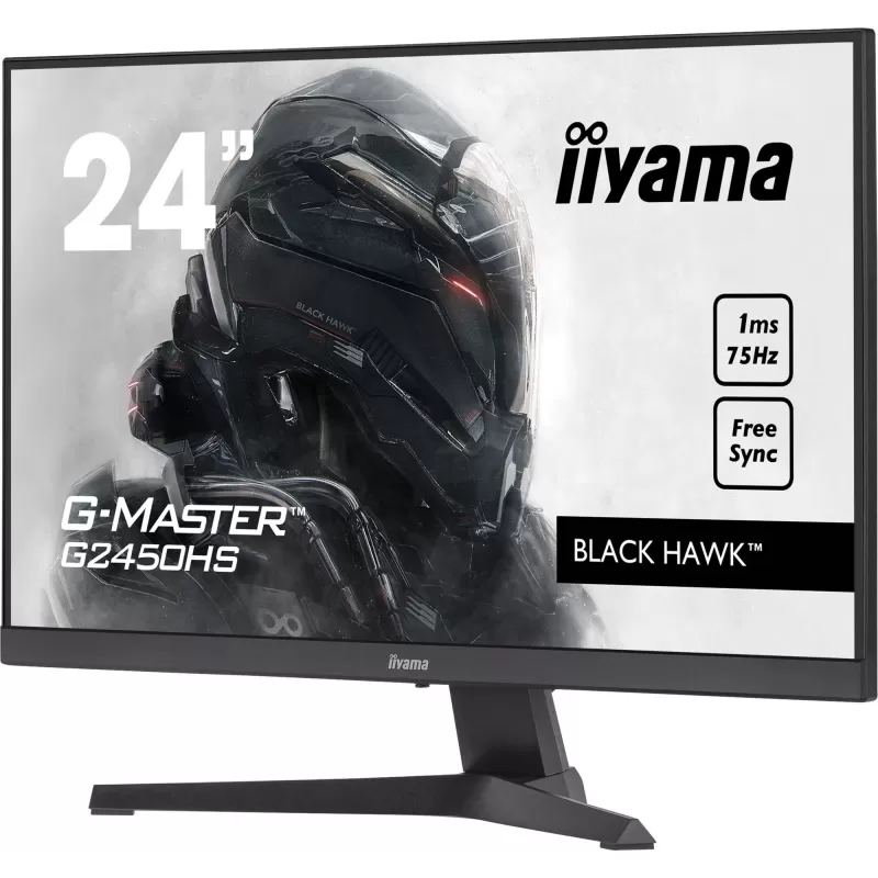 Монитор для ПК IIYAMA G-MASTER G2450HS-B1 G2450HS-B1 23.8" 75Hz FHD VA Цвет:чёрный