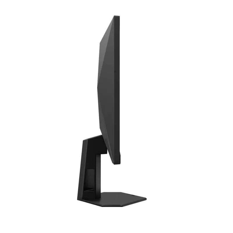 Gaming Monitor AOC 24.5" IPS FHD 310Hz 0.3ms 25G4SRE Color:black - official importer