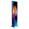 Монитор для ПК CLT X251P-80 80" LED