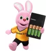 Charger set + rechargeable batteries Duracell AA+ AAA 2272702 Charger set + rechargeable batteries Duracell AA+ AAA 2272702