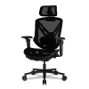 Gaming Chair COUGAR SPEEDER Color:black