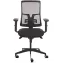 כיסא משרדי ארגונומי Fellowes Eleganza שחור