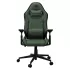 Gaming Chair COUGAR Explore green F