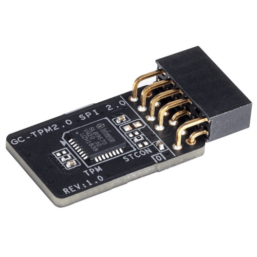 Expansion Card Gigabyte GC-TPM2.0 SPI 2.0