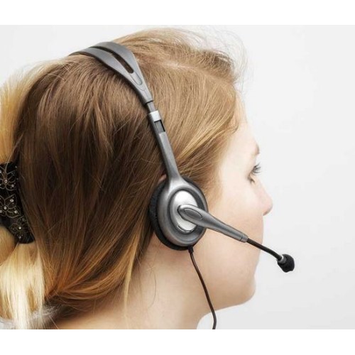 Headphones Logitech Headset H110 Color:black, silver