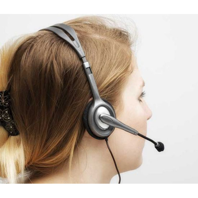 Наушники Logitech Headset H110 Цвет:черный, серебряный