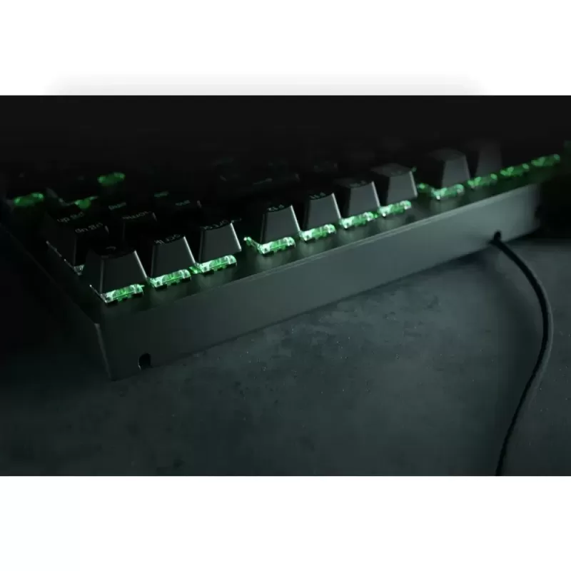 Игровая Клавиатура RAZER Widow v3 TKL Wired RGB Green Switches black