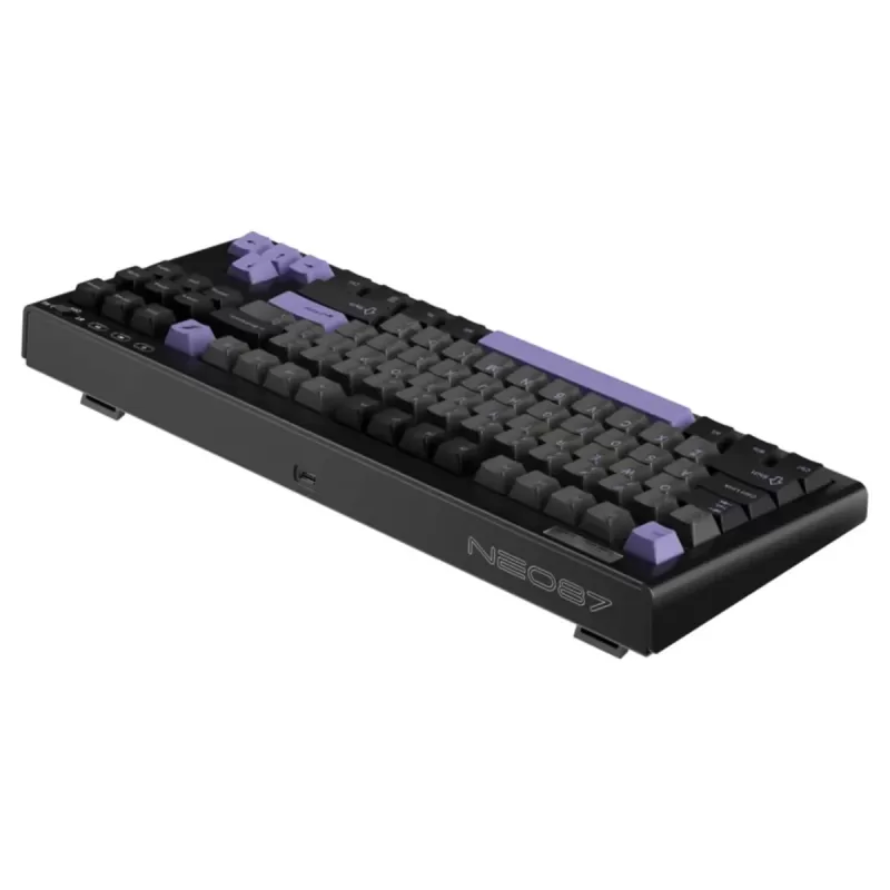 מקלדת גיימינג מכאנית 1St Player NEO87 RGB Midnight Vilot צבע שחור מקלדת גיימינג מכאנית 1St Player NEO87 RGB Midnight Vilot צבע שחור