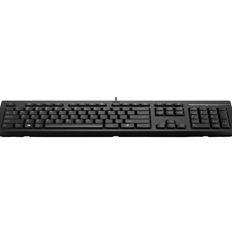 Игровая Клавиатура Клавиатура HP 125 G2 WD USB