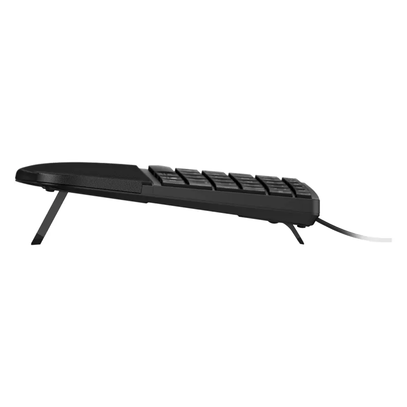 Wired Keyboard HP 480 Comfort Wired Keyboard Color:black Wired Keyboard HP 480 Comfort Wired Keyboard Color:black
