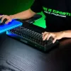Wireless Gaming Keyboard RAZER BlackWidow V4 Tenkeyless HyperSpeed