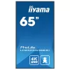 Дисплей для вывесок IIYAMA 65" ProLite IPS 4K Android 24/7 LH6565UHSB-B1