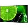 Signage display NEC MultiSync E658 65" 60005059 Color:black