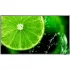 Signage display NEC MultiSync E658 65" 60005059 Color:black