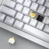 Keyboard Ducky One Analog Switch white