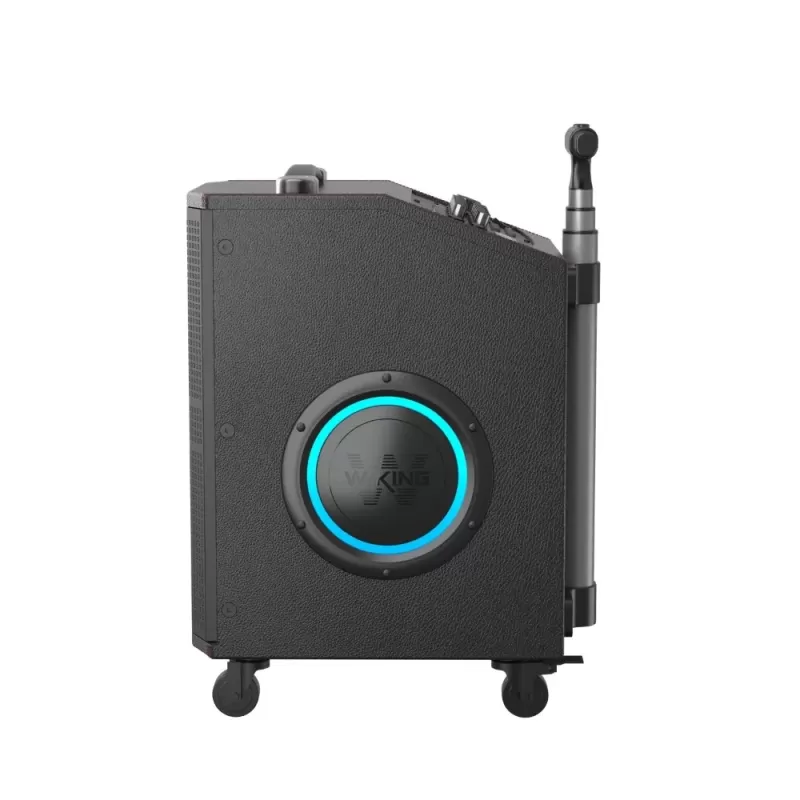 רמקול נייד W-King + 2 K21SE 120W K21SE רמקול נייד W-King + 2 K21SE 120W K21SE