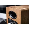 Speakers AIRPULSE A80 100W Bluetooth Brown