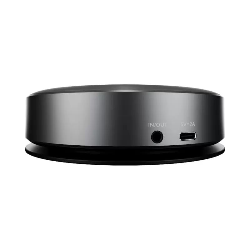 Conference Speaker IIYAMA BLUETOOTH SPEAKER 360 Color:black