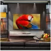 טלוויזיה חכמה LG 75QNED93A6A QNED MiniLED 4K 75QNED93A6A - יבואן רשמי