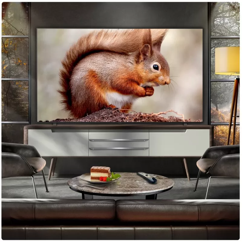 טלוויזיה חכמה LG OLED83B56LA OLED B5 4K OLED83B56LA - יבואן רשמי טלוויזיה חכמה LG OLED83B56LA OLED B5 4K OLED83B56LA - יבואן רשמי