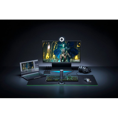 Вэб-Камера RAZER KIYO RZ19-02320100-R3M1 Цвет:черный