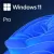 Licensed Operating System Microsoft OEM Windows 11 Pro hebrew Language: Hebrew 