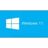 מערכת הפעלה מקורית Microsoft OEM Windows 11 Home אנגלית שפה: אנגלית OEM