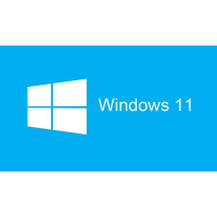 Licensed Operating System Microsoft Windows 11 Home 64 Bit Hebrew USB Retail