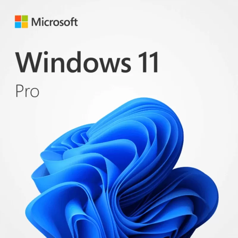 Licensed Operating System Microsoft OEM Windows 11 Pro english Language: English OEM