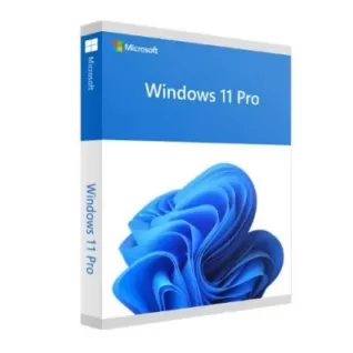 Licensed Operating System Microsoft OEM Windows 11 Pro english Language: English OEM
