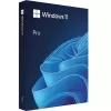 Licensed Operating System Microsoft OEM Windows 11 Pro english Language: English OEM